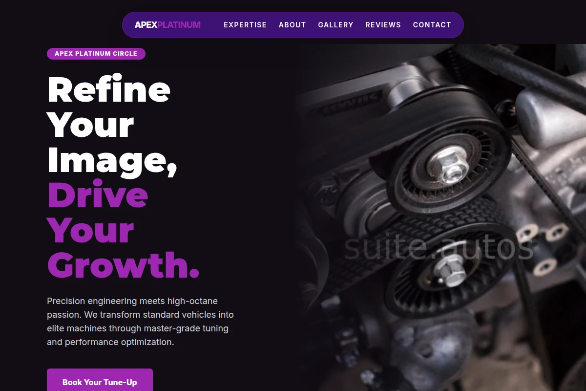Performance Mechanic
